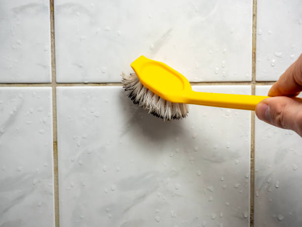 Mold Testing and Removal in Coushatta, LA